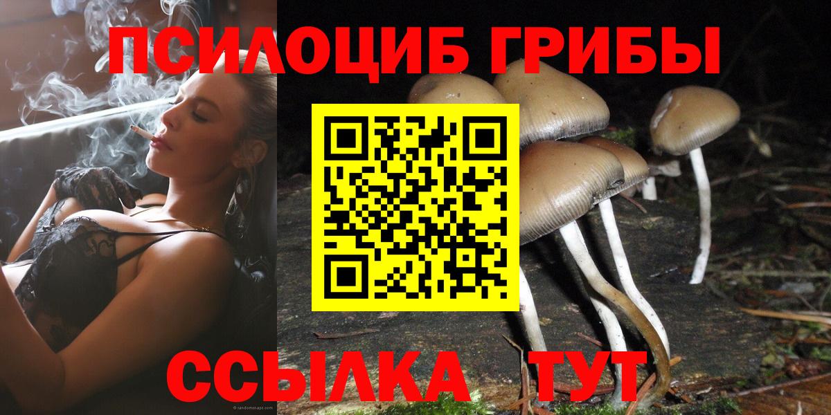 Галлюциногенные грибы GOLDEN TEACHER Мурманск